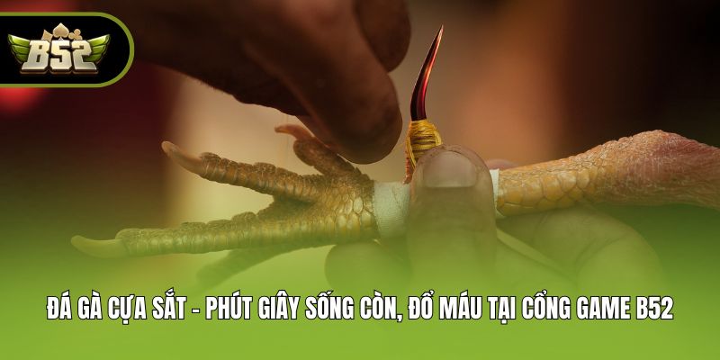 Đá Gà Cựa Sắt - Phút Giây Sống Còn, Đổ Máu Tại Cổng Game B52